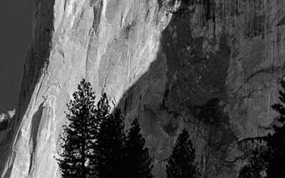 El CAPITAN AT THE CROCKER ART MUSEUM